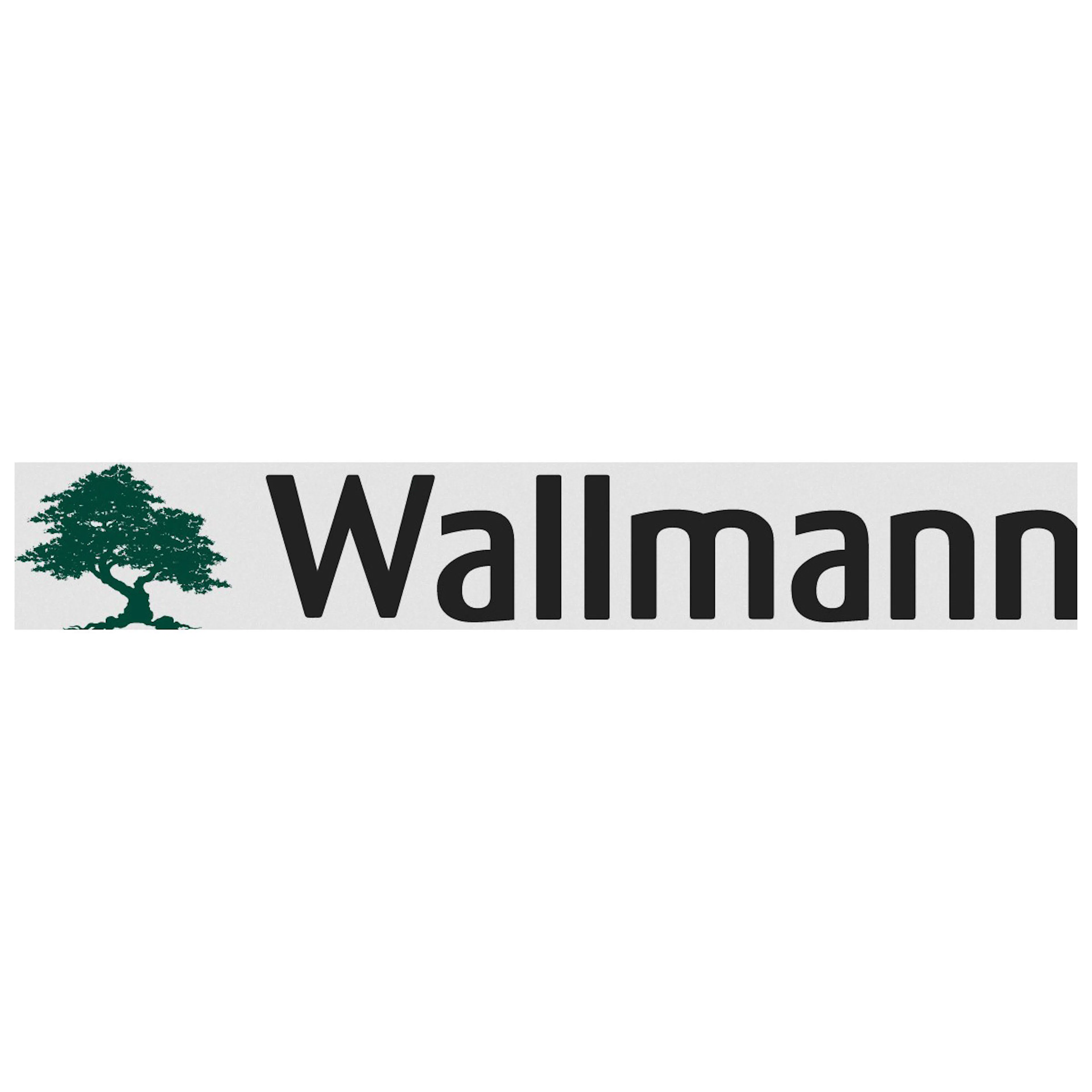 Wallmann logo
